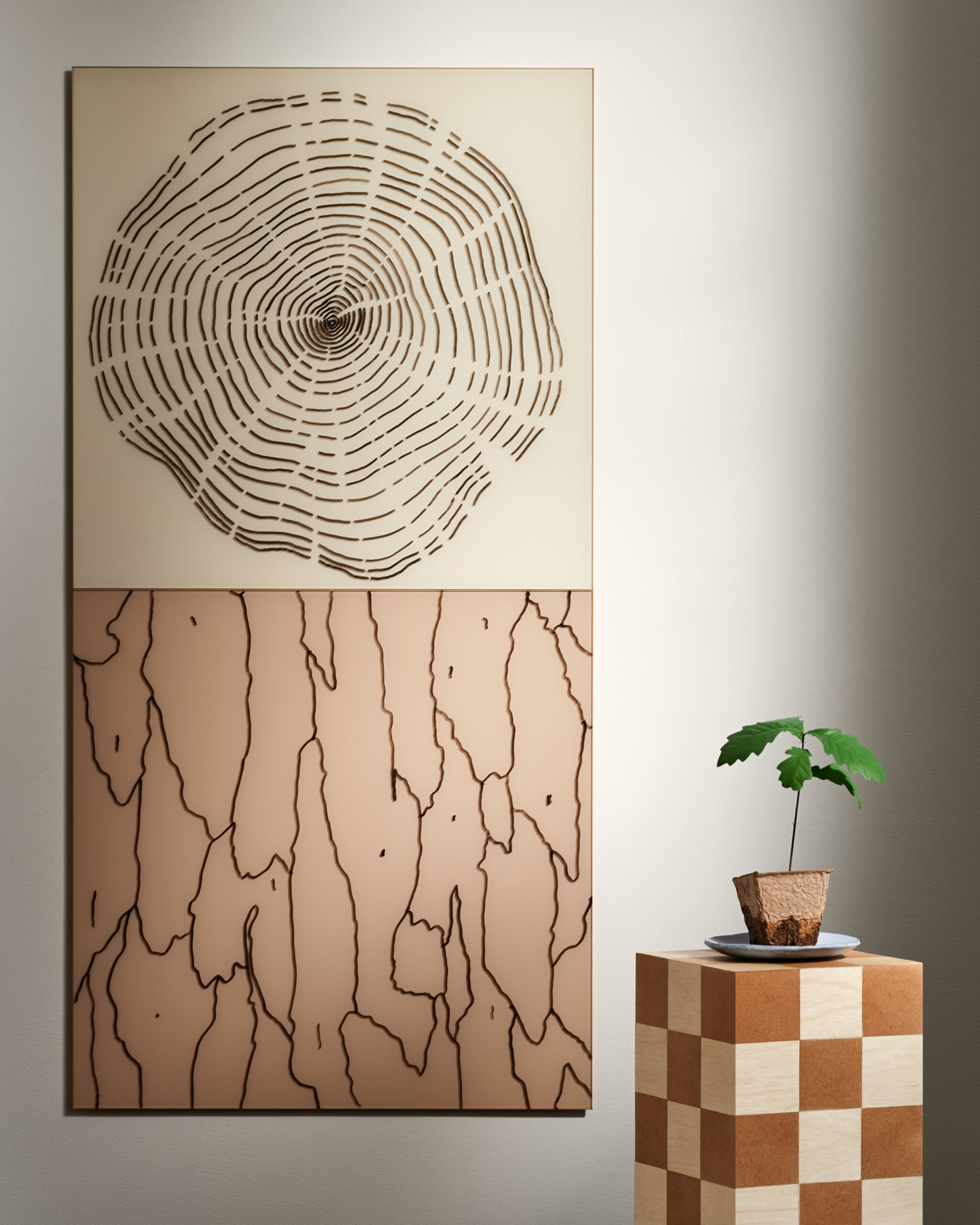 Lintex_Silk_23546.jpeg
